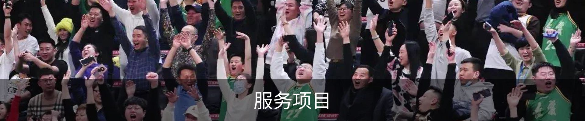 服务项目